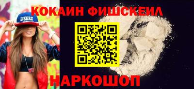 СК Бердск