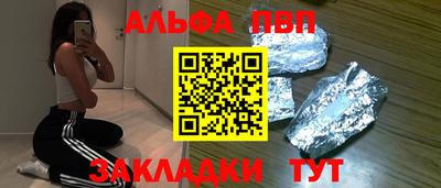 СК Бердск