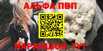 СК Бердск