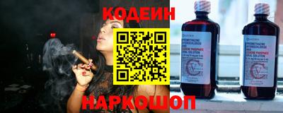 СК Бердск