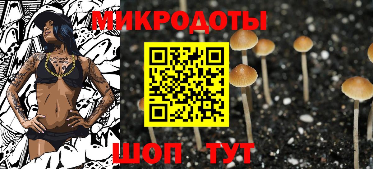Галлюциногенные грибы Cubensis  Псилоцибиновые грибы ЛСД  Вход с VPN  Клинцы 