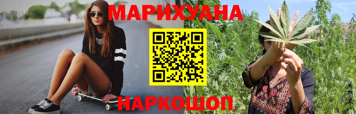 Конопля сатива Клинцы